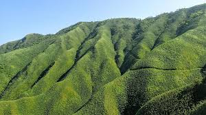 6号线一期工程线路全长39.13km，为湿地公园、洞林湖段，设站26座。 具体规划的站点分别为： 7号线一期： 郑州地铁7号线一期工程线路沿文化路、优胜南路、金水路、大学路走行,全长约26.81km，均为地下线，共设车站20座。 具体规划的站点分别为： 10号线一期： è¼•é¬†ä¸Šæ‰‹ä¸­ç´šå±±æŽ¨è–¦è·¯ç·š æŠ¹èŒ¶å±± åŠ ç¾…æ¹–ç­‰ï¼˜æ¢ä¸­ç´šå±±è·¯ç·šæŽ¨è–¦ å¥§ä¸ä¸å®¢æ£§