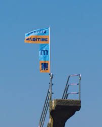 Ocicat jana volkova (video 16) 5:57. Miu Miu Miu Miu Maritime Trailer Facebook