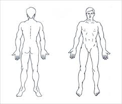 Body Outline Template 21 Free Word Excel Pdf Format Download Free Premium Templates Paper Dolls For Characters In 2019 Body Outline Body Templat