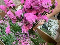 Selecciona tu tienda lidl y te mostramos todas las ofertas disponibles en tu promozioni e offerte oggi, domani…. Sotto Un Cielo Di Fiori L Installazione Artistica Sulla Corsarola Per Un Weekend Bergamonews