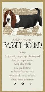 We will work with you to find the right basset puppy for you and your family. Basset Hound Bassett Hound Basset Hound Basset Puppies
