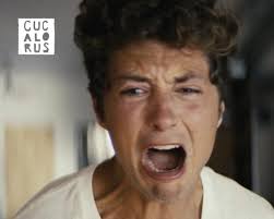 Li'l Friday: Mannheim Steamroller, CF Festival of Trees, Cucalorus