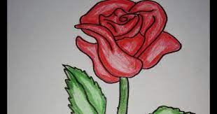 Bunga mawar adalah bunga yang indah juga sebagai lambang kasih sayang. Cara Mewarnai Gambar Bunga Mawar Dengan Crayon Gambar Mewarnai Bunga