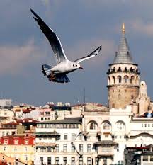 The Galata Region Of Istanbul Is An Old Jewish Neighbourhood With Fully Functioning Synagogues Turkey Travel Sehir Istanbul Fotograf