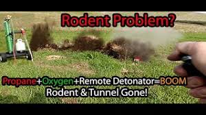We did not find results for: Gopher Prairie Dog Underground Rodent Control With Propane And Oxygen