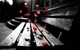 Top Beautiful Cute Romantic Love Couple Hd Wallpaper 1920 1200 Romantic Images Hd Wallpapers 4 Romantic Wallpaper Color Splash Photography Splash Photography