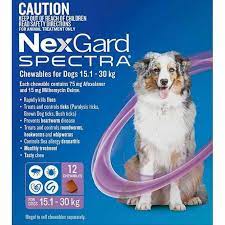 Study to be a doctor in your country. Nexgard Spectra Review Safe Flea Protection For Your Dog