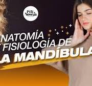 Conocé todo sobre la mandíbula