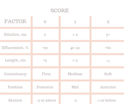 Image result for Bishop Score