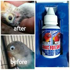Nectar, tune up metamorphosis, voer fresh fruity dan moncer1. Sonic For Snot Vitamin Obat Burung Lovebrid Lazada Indonesia