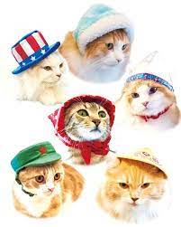 Necos Cat Hats World Traveler 8 Pack In 2021 Hat World Cat Hat World Traveler