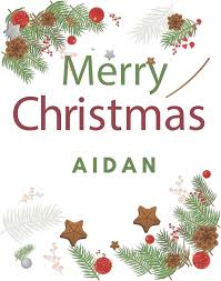 Merry Christmas Aidan: Merry Christmas Year Planner Goal Journal Gift for  Aidan