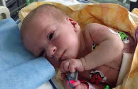 Julia walczy o życie!