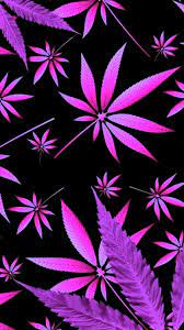 We did not find results for: Stoner Girl Wallpapers Wallpaper Cave