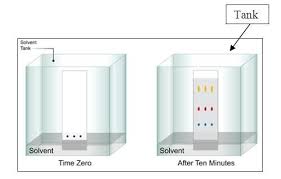 Paper Chromatography And Science Of Chromatography Paper Chromatography Chemistry Help Paper