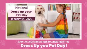 Celebrated on april 11th to highlight the unconditional love pets bring to our lives + to encourage adoption. National Dress Up Your Pet Day January 14 2020 Youtube