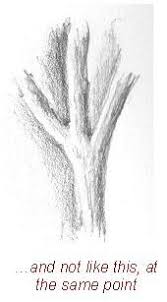 Learning How To Draw Trees Need Not Be Difficult Just Follow The Few Simple Steps Described And You Ll Be Drawing Be Tree Drawing Tree Drawing Simple Drawings