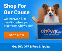 From puppies to seniors, we help dogs of all life stages put their best paw forward with positive dog training classes. House Of Paws Dog Rescue Salisbury North Carolina