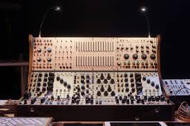 Image result for Buchnera keilii