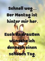 Um ein bild auf whatsapp oder facebook zu teilen klickst oder tippst du einfach auf den button unter dem gewählten bild und folgst den anweisungen. Schonen Montag 49 2 Bilder Lustig Nett Zum Verschicken