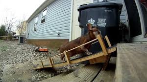 Most bed ramps are a permanent structure. How To Build Your Own Dog Ramp Caring For A Senior Dog