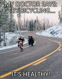 Image tagged in bear - Imgflip