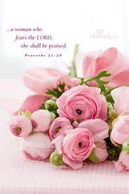 Proverbs Pink Roses Beautiful Flowers Rose Bouquet