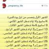 الشهر الثاني من الحمل كم أسبوع في اي اسبوع يبدا الشهر الثاني ومتي ينتهي معلومات عن الشهر الثاني youtube. 1