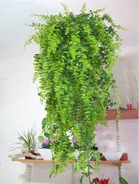 Use our beautiful artificial flowers to brighten up your home all year round. Artificial Plants Vines Fern Persian Rattan Fake Hanging Plant Faux Hanging Boston Ferns Flowers V Fake Hanging Plants Hanging Plants Artificial Hanging Plants