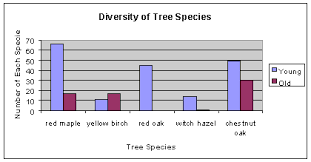 The tree stands apart in its identification due to its. Giss Icp Does The Age Of A Tree Effect Carbon Storage