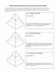 Ecological Pyramids Worksheet Answer Key Inspirational 13 Best Of Ecological Pyramids Worksheet Answer Ecological Pyramid Life Science Lessons Pyramid Lessons