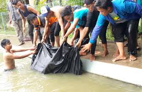 Saung Desa Kedatangan Tamu Baru Arapaima 90 Kg Dan 101 Kg Kabar Mancing