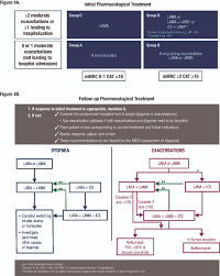 Image result for COPD Exacerbation Decision Tool