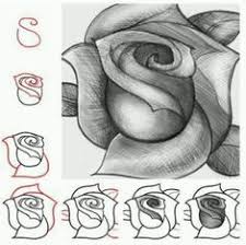 تعليم الرسم للمبتدئين والأطفال كيف تتعلم الرسم beautiful roses drawings beautiful