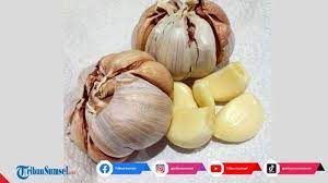 Dua hari lepas aariz kena cucuk 5 bulan. Cara Membuat Olahan Bawang Putih Bakar Enak Berikut Manfaat Mengkonsumsinya Di Masa Pandemi Tribun Sumsel