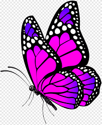 Check spelling or type a new query. Black And Purple Butterfly Illustration Monarch Butterfly Butterfly Pink Purple Blue Png Pngegg