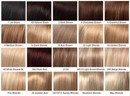 Hair Extensions Clip In Hair Extension Real Human Feel Luxury Clip In 100 Fu Ebay Blonde Hair Color Chart Hair Color Chart Hair Dye Color Chart