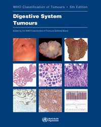 Https Publications Iarc Fr Publications Media Download 5950 Ed9cbf42342a8474f2cef4f8739f7c591fb4587c Pdf