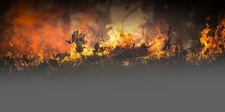 Explota toma clandestina en hidalgo; Que Hacer Antes Durante Y Despues De Un Incendio Forestal Integrando Culturas
