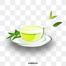 Vector Green Plant Borders Tea Leaves Illustration Green Tea Leaf Illustration