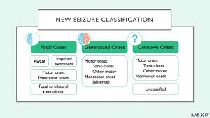 Image result for Status Epilepticus