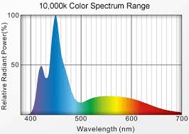 8000k Vs 6500k Led Lighting 321356