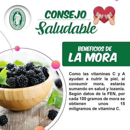 Consejo Saludable 💪 Beneficios de la Mora Como las vitaminas C y A ayudan  a nutrir la piel, al consumir mora, estarás sumando en salud y lozanía.  Según datos de la FEN,