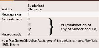 This illustration was published in. Nerve Injuries Musculoskeletal Key
