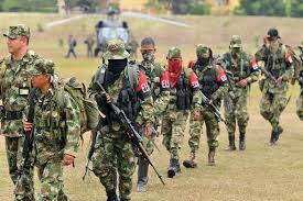 Grupos Armados Aumentan Tensiones Diplomaticas Entre Colombia Y Venezuela