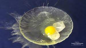 Bouncy Egg Science Experiment