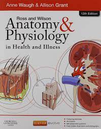 Unlike static pdf anatomy and physiology coloring workbook 12th edition solution manuals or printed how is chegg study better than a printed anatomy and physiology coloring workbook 12th edition why buy extra books when you can get all the homework help you need in one place? Buy Ross Wilson Anatomy And Physiology In Health And Illness Text Colouring Book And Workbook Package 12e Book Online At Low Prices In India Ross Wilson Anatomy And
