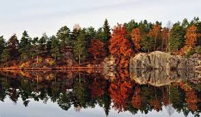 Baneheia case — the baneheia case was a notorious double child murder that took place in baneheia in the city of kristiansand, norway, on may 19, 2000. Panoramio Photo Of Baneheia Beautiful Norway Kristiansand Norway Norway
