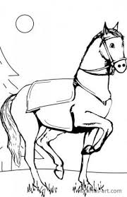 87 pferde ausmalbilder springen excellent. Ausmalbilder Pferde Wunderschone Pferde Ponys Als Malvorlagen