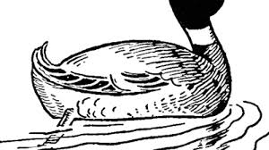 The expressions of both the animals have been depicted in the if you are looking for examples of pen and ink drawings, the templates mentioned above are just the thing you need here. How To Draw Ducks With Easy Step By Step Drawing Tutorial How To Draw Step By Step Drawing Tutorials